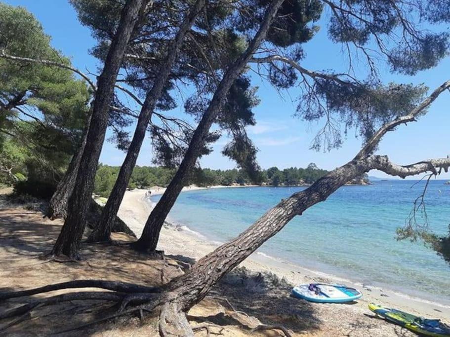 Studio Cabine Climatise 800 M De La Plage Et Des Commerces Bormes-les-Mimosas Eksteriør billede